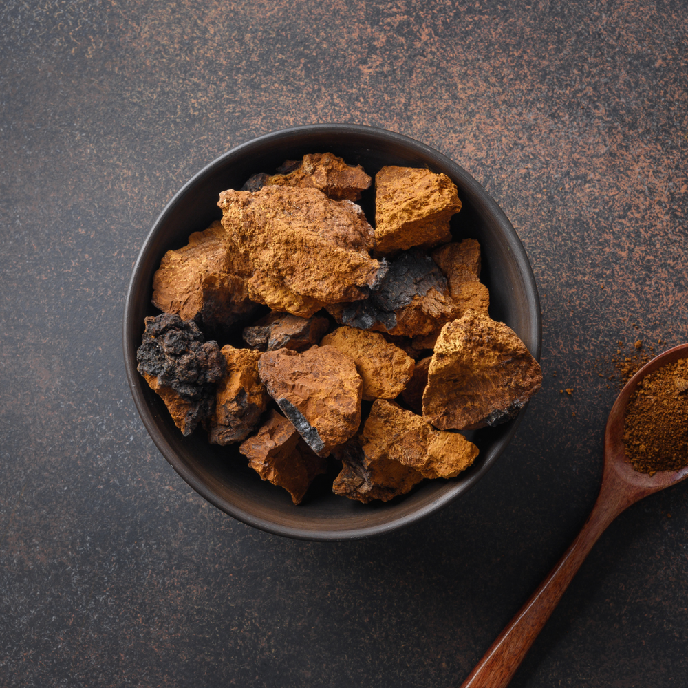 Chaga Mushroom Benefits Health Kaizen Coffee Immunity Sick