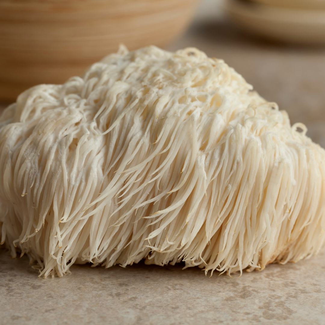 Lions Mane Mushroom Kaizen Coffee Immunity Mental Clarity Focus Memory Cognitive Function Health Smart Brain